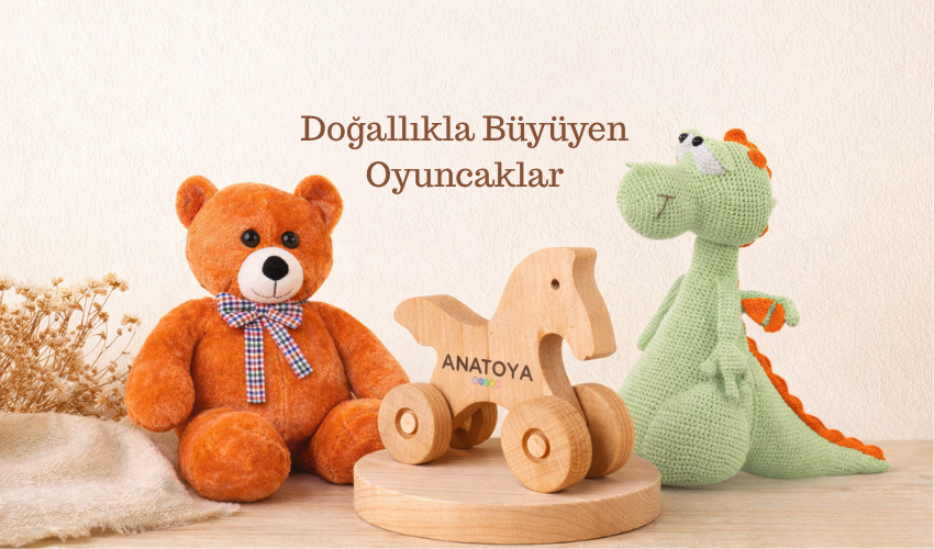 Anatoya Banner