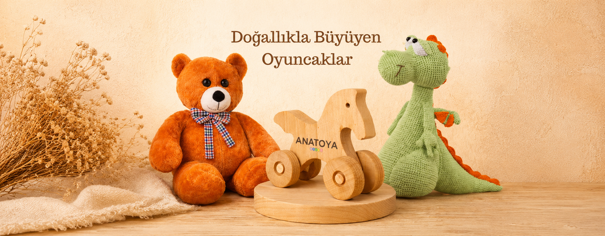 Anatoya Banner